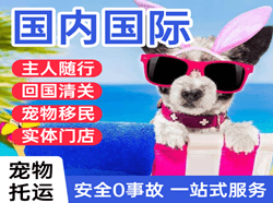 澜沧景迈航空物流国际宠物托运 【国